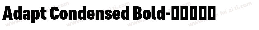 Adapt Condensed Bold字体转换